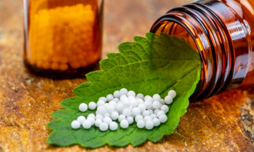 How the Best Homeopathy Doctors Ensure Patient Safety